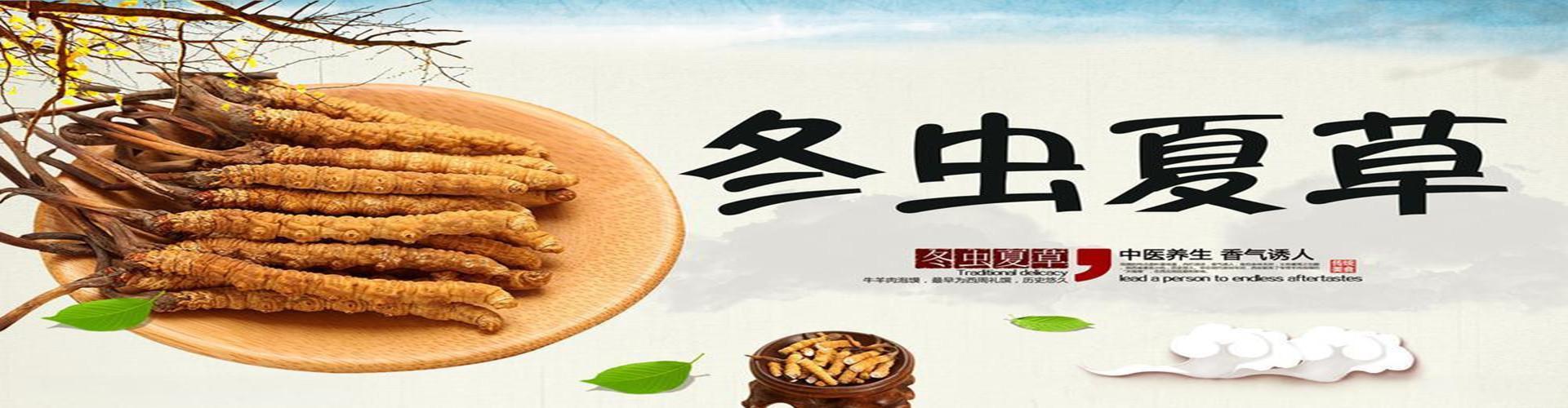 虫草知识