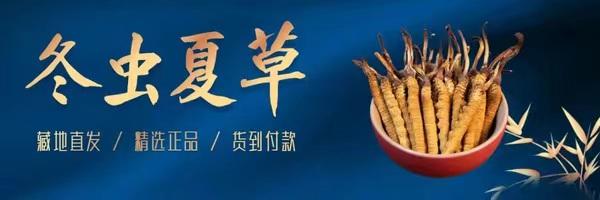 联系我们